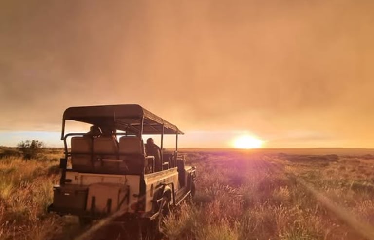safari cruise sunset