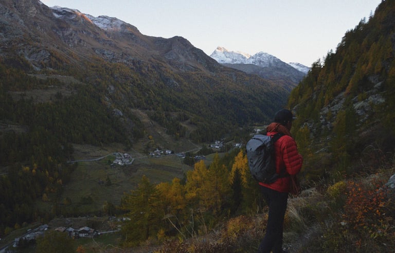 FOLIAGE IN THE AOSTA VALLEY