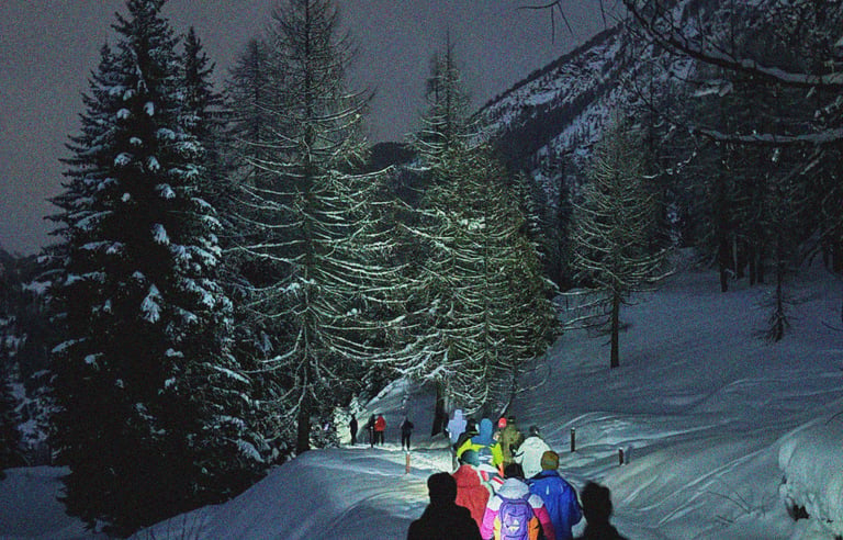 GUIDED SNOWSHOE HIKE