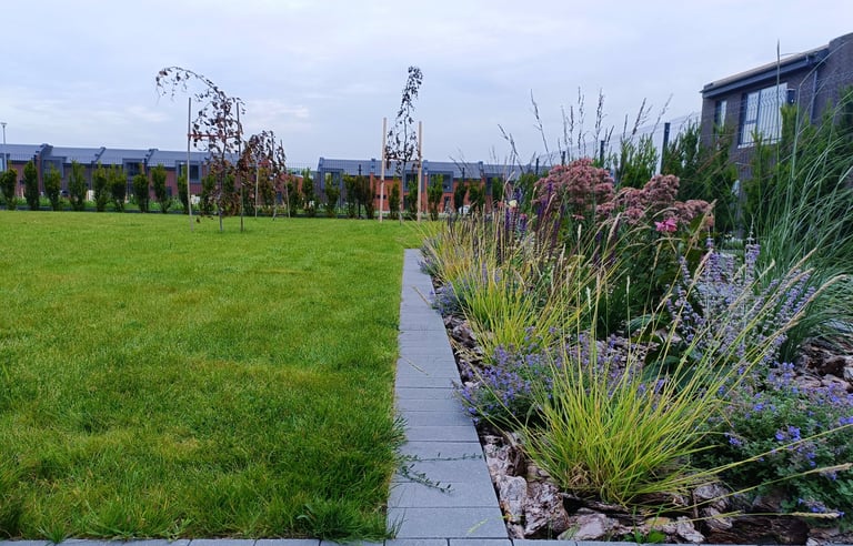 sodoidile.lt augalų sodinimas ir jų parinkimas