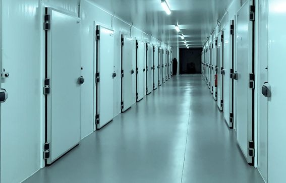 Compartmental Cold Rooom