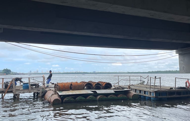 Flutuantes em Santos