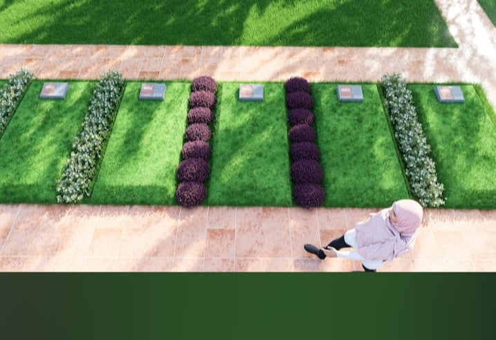 amp single 08164811311