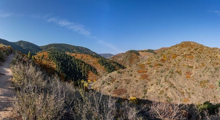 Open Space trail in Jefferson County