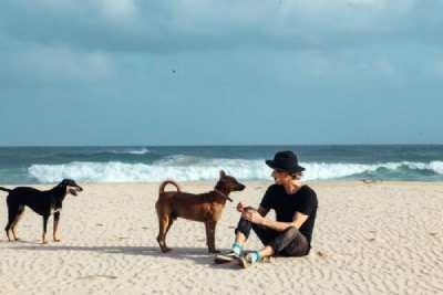 dog-friendly-beaches-near-anna-maria-island