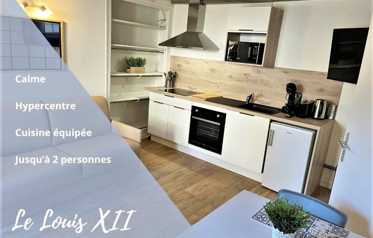 studio à Amboise en Indre-et-Loire