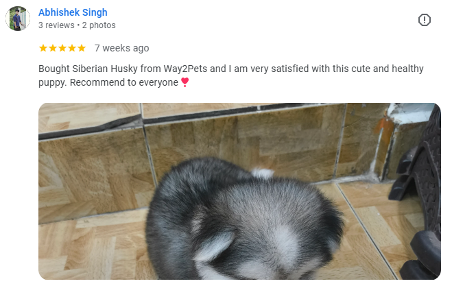 Husky customer Lucknow