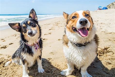 Cheap and Affordable Huntington Beach Apartments For Rent