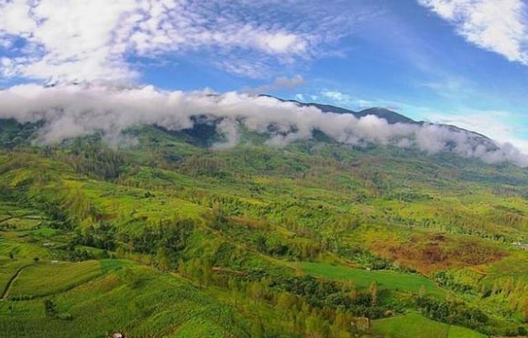 Gunung Leuser National Park
