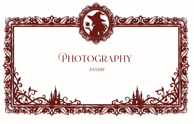 Files of my Photographs you can purcahse at Payhip