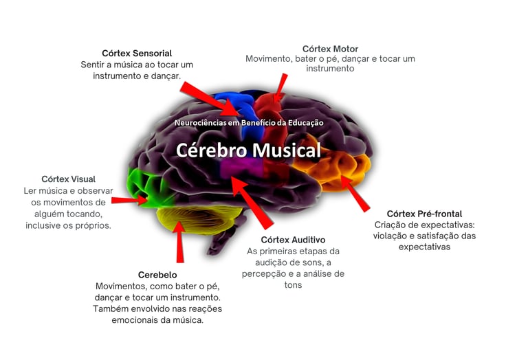Visual image of the study with and explanation of study 2