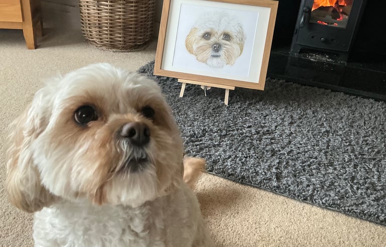 Dog pose