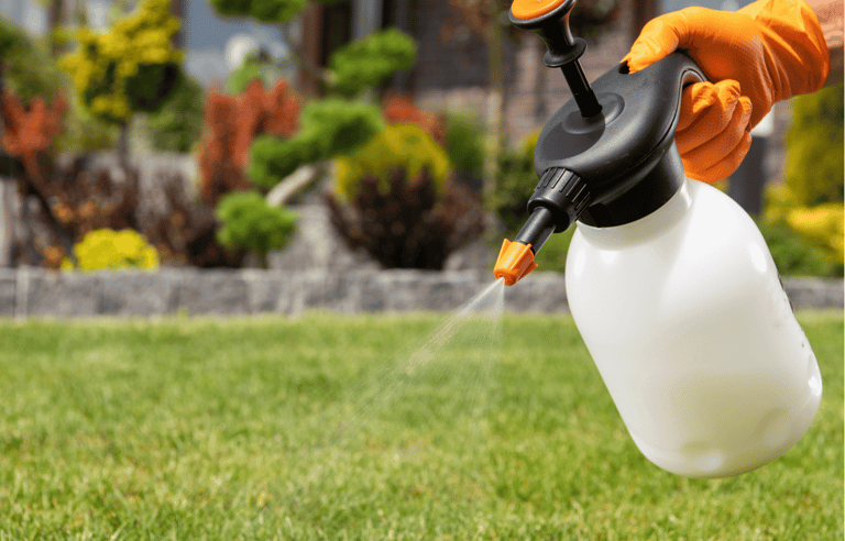 Professional lawn spraying service in Cary applying chemical treatments to healthy turf grass