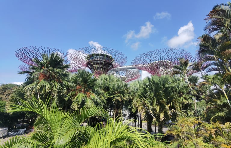 Singapour le jardin