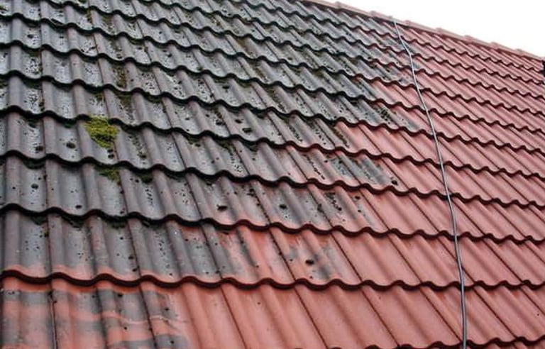 roof soft washing services psi power washing fort lauderdale FL