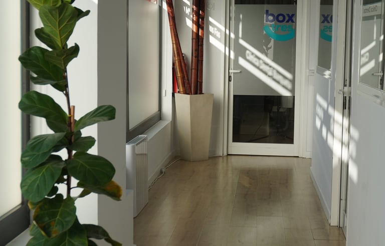 tipos de ortodoncia para niños sevilla