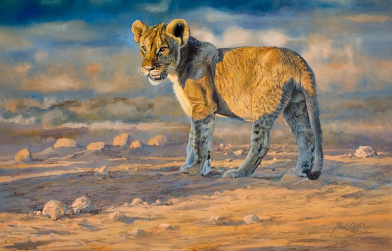 Oil painting of a young Lion Cub in the warm evening light in Etosha Namibia