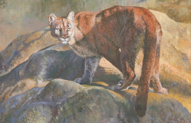 Oil painting of a Cougar or Mountain Lion high in the mountains of America