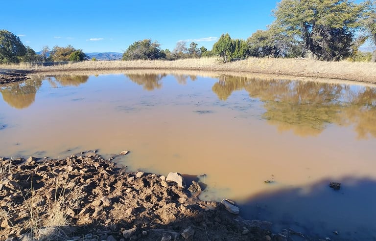 A muddy livestock pond in New Mexico on a sunny day on the Grand Enchantment Trail.