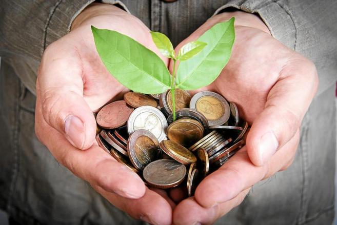 imagem de uma mão fechada segurando umas moedas com uma muda de planta plantada no meio dela.