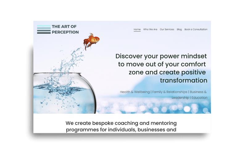 Screenshot of the Art of Perception website