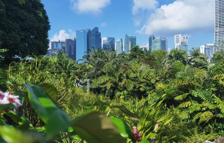 Singapour vue des jardins