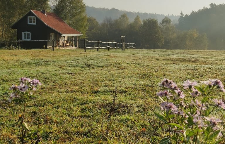 Sękiewiczówka - agroturystyka małopolska - domek nad bobrowiskiem
