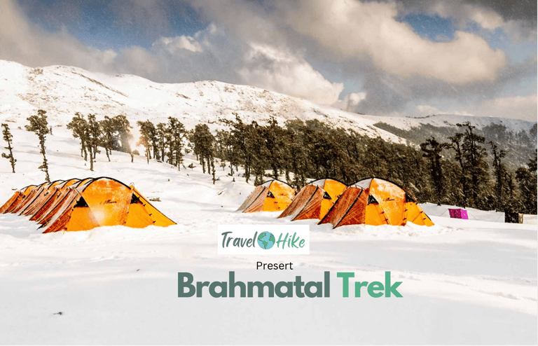 Trekkers scaling the lush trails of the Himalayas.