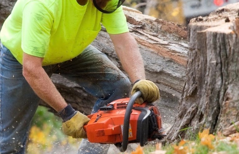 débitage de tronc a la tronçonneuse 