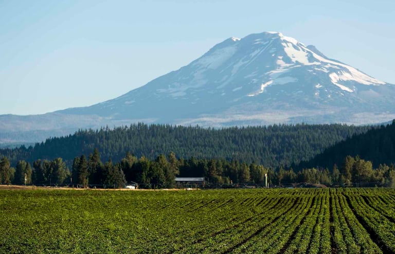 Nutrilite organic farm in Trout Lake West, USA