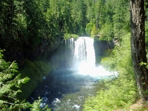 Eugene - Powerful Sahalie Fall means "heaven", and Koosah Falls along the loop trail