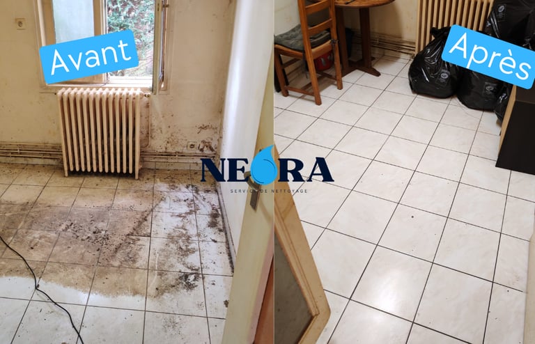 Nettoyage remise en état appartement La Rochelle