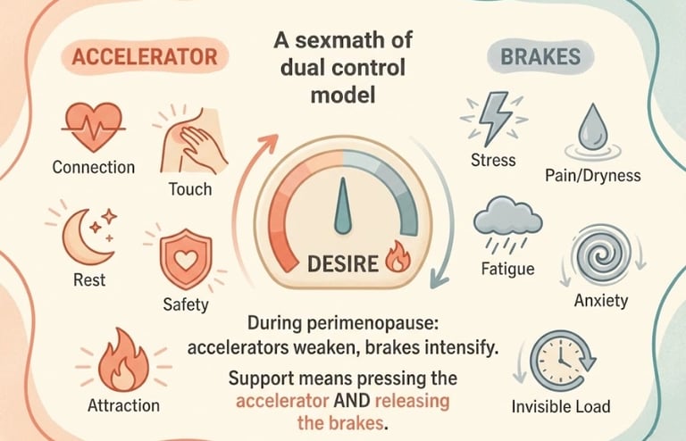 Illustrated dual control model of sexual desire showing accelerators and brakes —