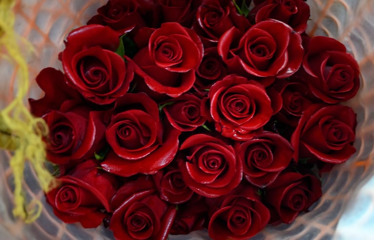 Day tour a una floricola en Mulaló