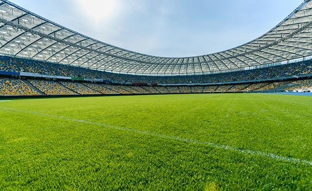 Campo de futebol com grama bermuda celebration