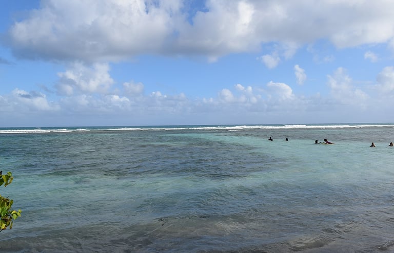 bois jolan voyage france guadeloupe