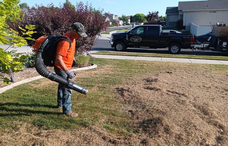 Lawn Power Raking and Thatch removal