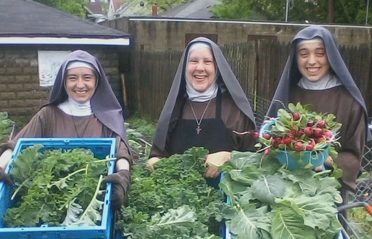 Franciscan Daughters of Mary harvesting from the Rose Garden Mission's veggie garden