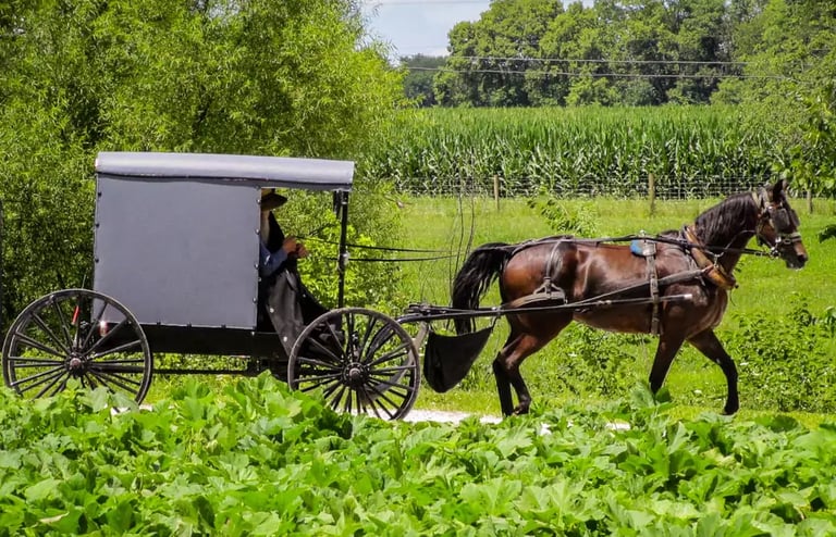 reinkarnācijas terapija
