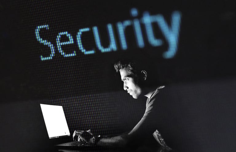 Blueconnect informatique - réseau et sécurité à Fenouillet