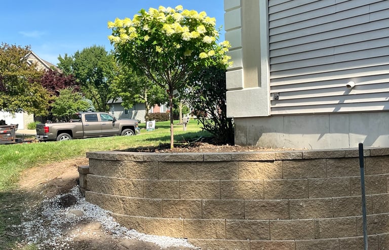 Curved stone retaining wall for a residential landscape garden bed with a flowering hydrangea tree.