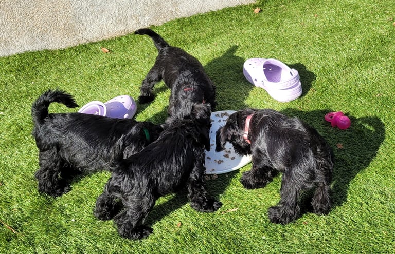 C'est l'heure du goûter