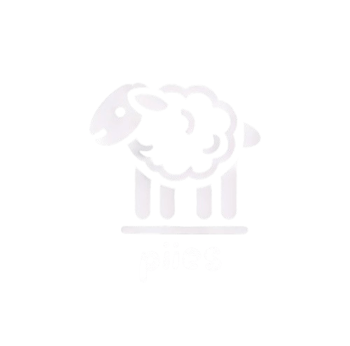 Logo von der Wollproduktmarke piies welche aus Tübingen kommt 