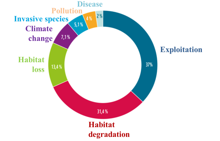 Graph of the relative contribution of different causes to current collapse of animal populations