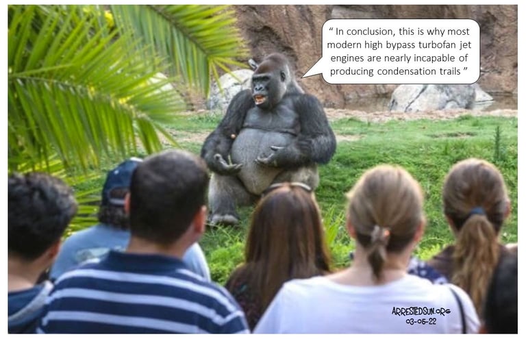 Arrested Sun Geoengineering Awareness Memes - Gorilla Lecture