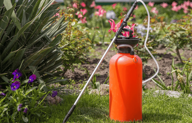 Professional lawn spraying service applying fertilizer and weed control treatment to lawn