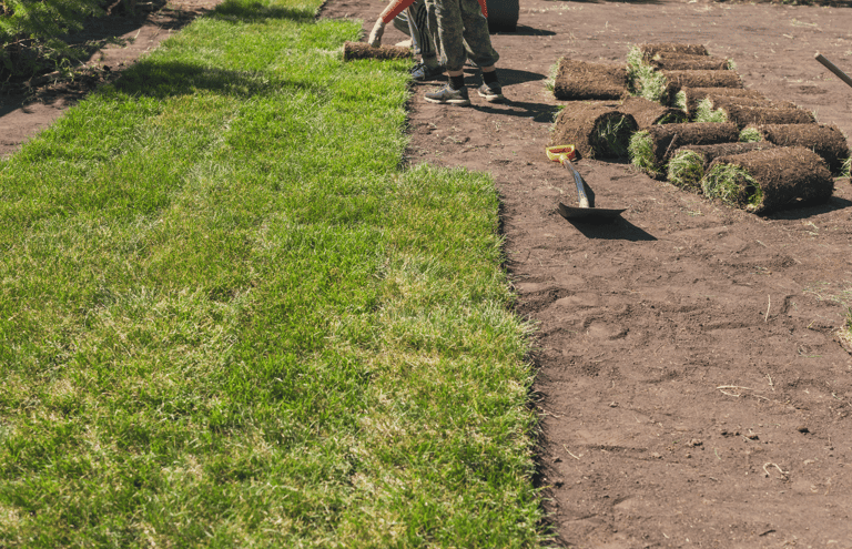 Completed sodding service with smooth, evenly installed turf