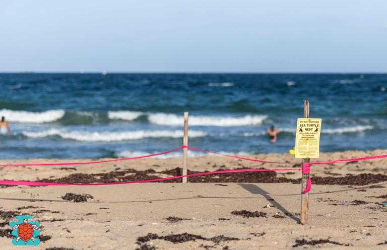 Iztuzu Beach conservation area warning signs