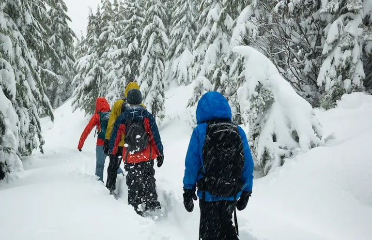 Collégiens en sortie raquettes au Grand-Bornand