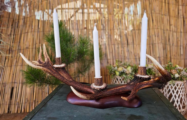 Elnio rago žvakidė